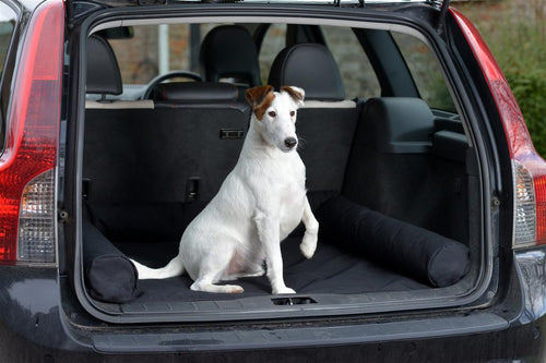 The Estate Car Boot Dog Bed with Mollies